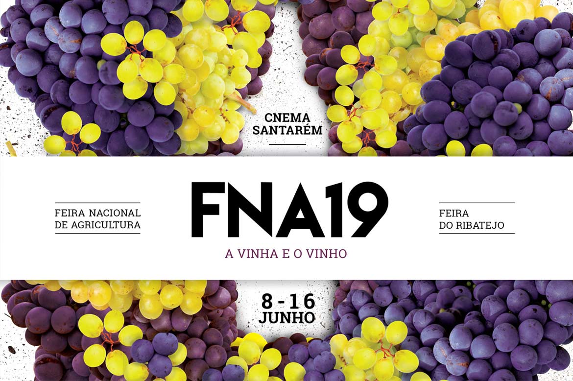 A Quintinha na FNA19